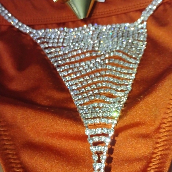 Hundreds of Swarovski Crystals Scintillate on this Bikini Bathing Adornment NWT - Picture 5 of 12